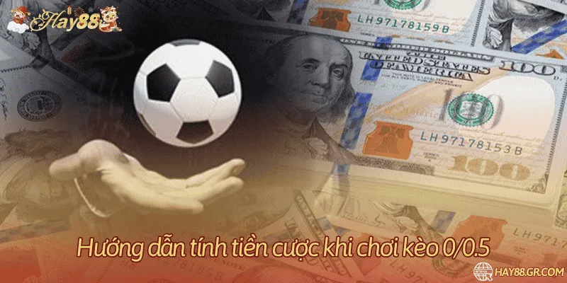 3+ mẹo đặt cược hữu ích khi chơi kèo bóng đá 0/0.5 ở Hay88