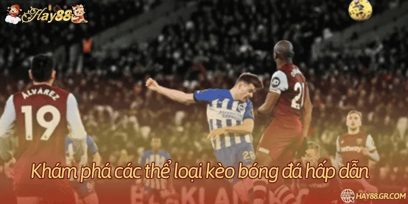 4+ loại kèo thông dụng hiện nay